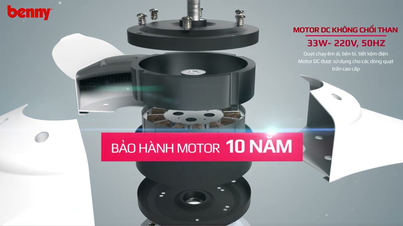 quat_tran_benny_stella_bdc60rm_3