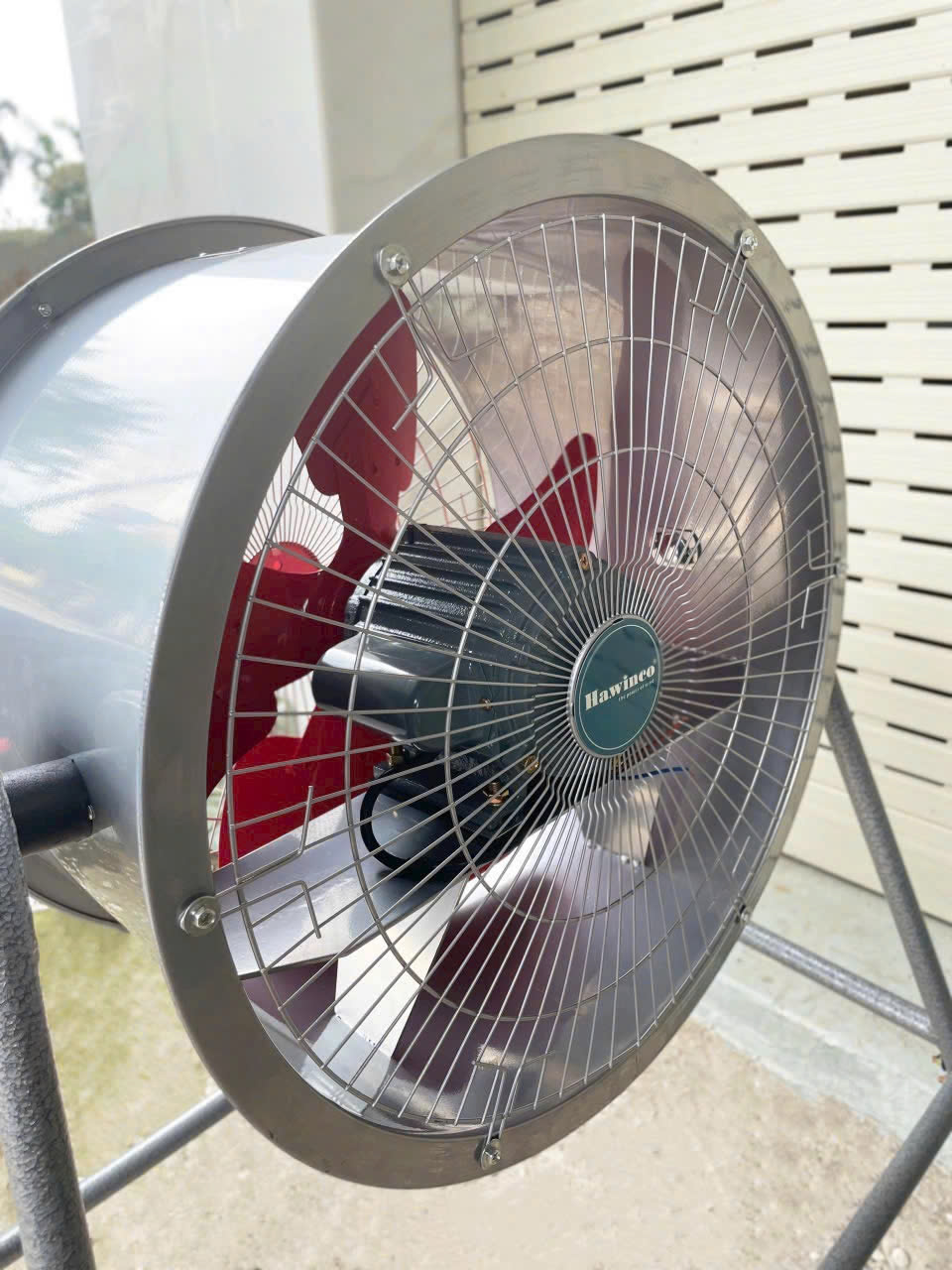 z5703513587835_124785e74204d534ddf511b738c1e2e7