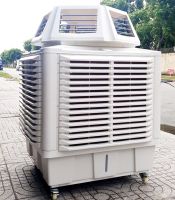 Máy làm mát hơi nước Ail cooler 4 hướng 23000