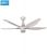 Quạt trần 5 cánh AC ACF04D605