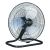 Quạt sàn chân quỳ iFan FE-50