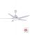 Quạt trần AC 5 cánh ACF02D525