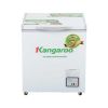 tu-dong-khang-khuan-kangaroo-90-lit-kg168nc1 - ảnh nhỏ 4