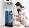 cay-nuoc-uong-nong-lanh-toshiba-rwf-w1669bvw1 - ảnh nhỏ 2