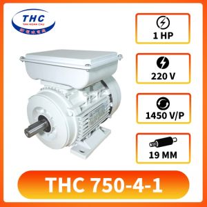 Motor Kéo THC 750-4-1( 220v)
