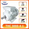motor-keo-thc-3000-4-1-220v - ảnh nhỏ  1