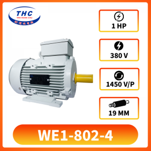 Motor Kéo THC WE1-802-4(380v)