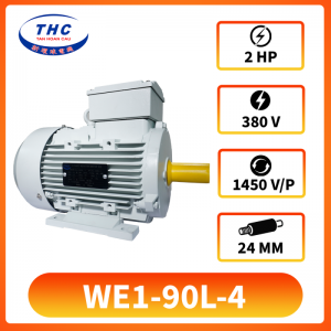 Motor Kéo THC WE1-90L-4(380v)