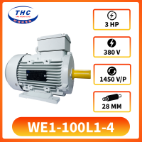 Motor Kéo THC WE1-100L1-4(380v)