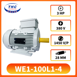 Motor Kéo THC WE1-100L1-4(380v)