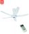 Quạt trần KDK Z60WS (có điều kiển)